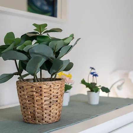 Apartment Wish - Centro Storico Catania