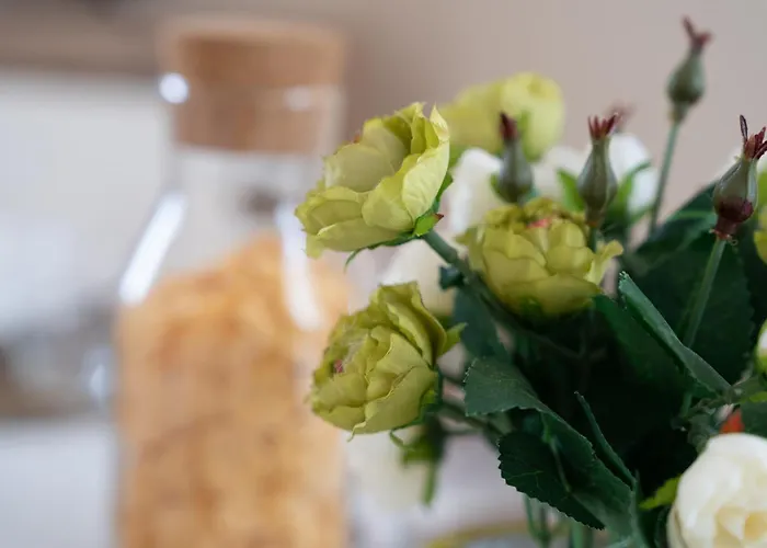 Wish - Centro Storico Apartment *