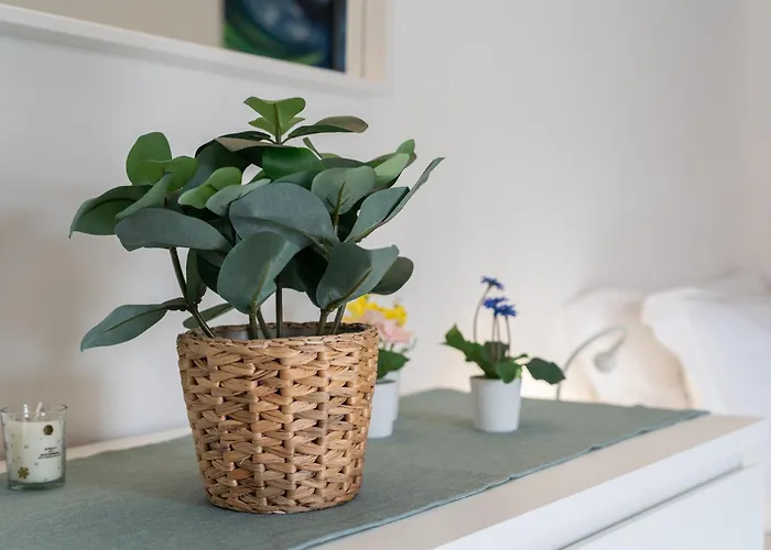 Apartment Wish - Centro Storico Catania